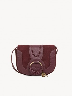 Chloe Hana Mini Schultertaschen Braun | CHE-SR14586