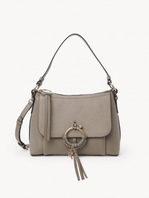 Chloe Joan Small Schultertaschen Grau | CHE-SR14678