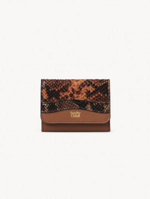 Chloe Layers Medium Tri-fold Kleine Geldbörse Braun | CHE-SR14899