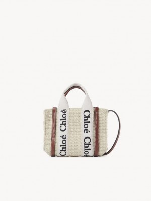 Chloe Mini Woody Crossbody Taschen Braun Beige | CHE-SR13585