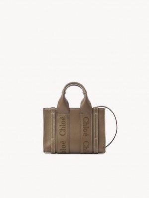 Chloe Mini Woody Crossbody Taschen Grün | CHE-SR13521