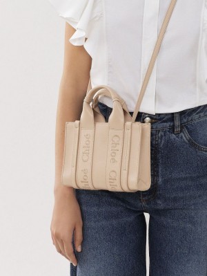 Chloe Mini Woody Crossbody Taschen Rosa | CHE-SR13562