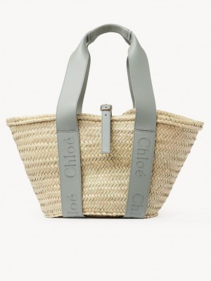 Chloe Sense Medium Basket Tragetaschen Grün | CHE-SR13383