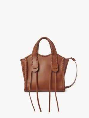 Chloe Small Mony Crossbody Taschen Braun | CHE-SR13467