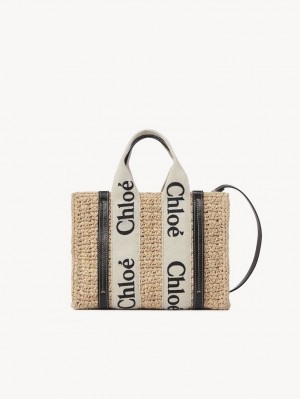 Chloe Small Woody Crossbody Taschen Braun | CHE-SR13625