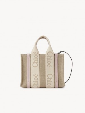 Chloe Small Woody Crossbody Taschen Grau | CHE-SR13622