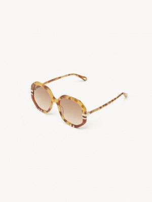 Chloe West Small Sonnenbrille Havana Patchwork | CHE-SR14518