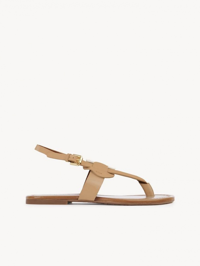 Chloe Chany Sandalen Braun | CHE-SR14824