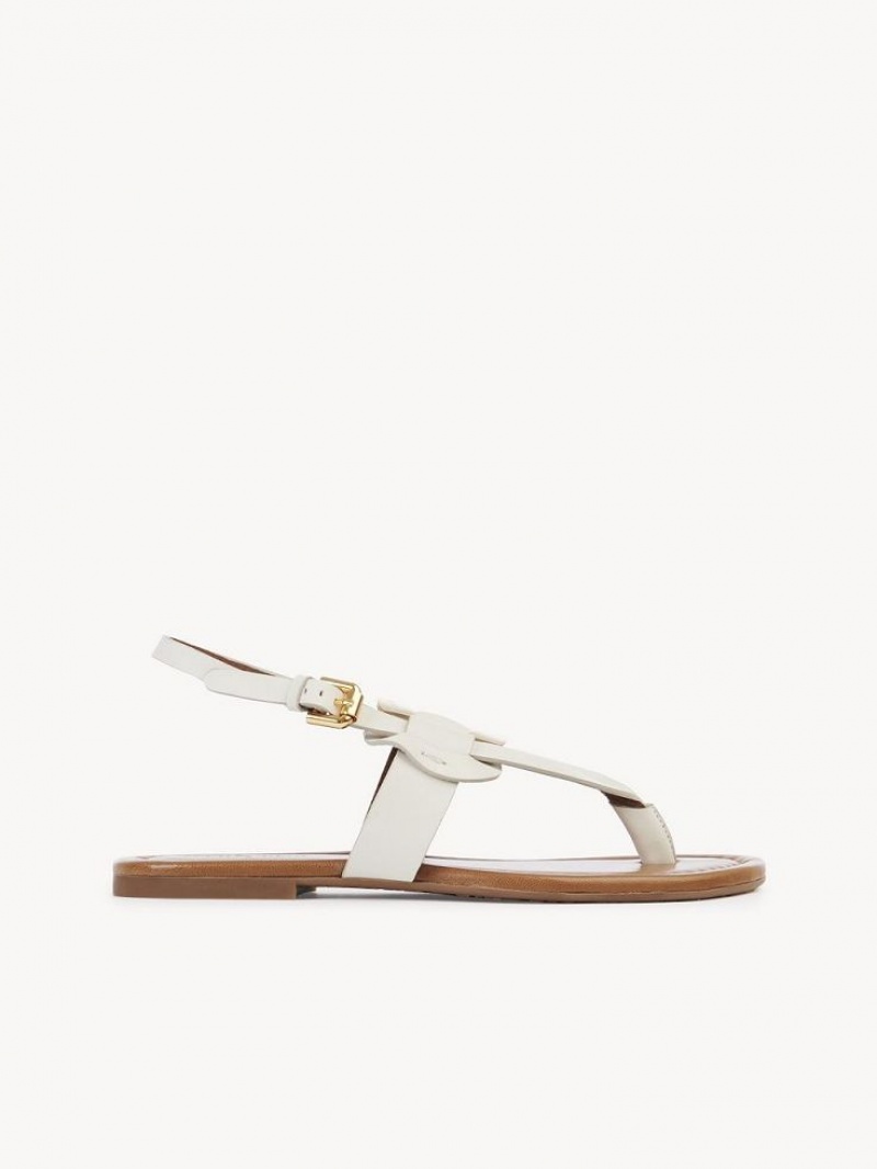 Chloe Chany Sandalen Weiß | CHE-SR14845