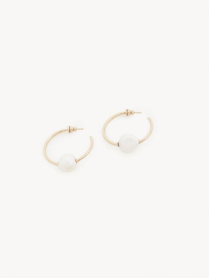 Chloe Darcey Hoop Ohrringe Gold Weiß | CHE-SR14441