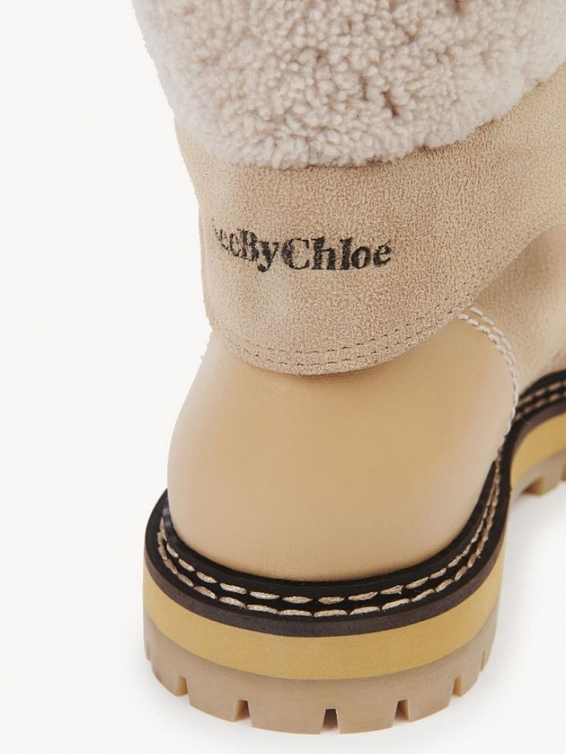 Chloe Eileen Stiefeletten Beige | CHE-SR14862