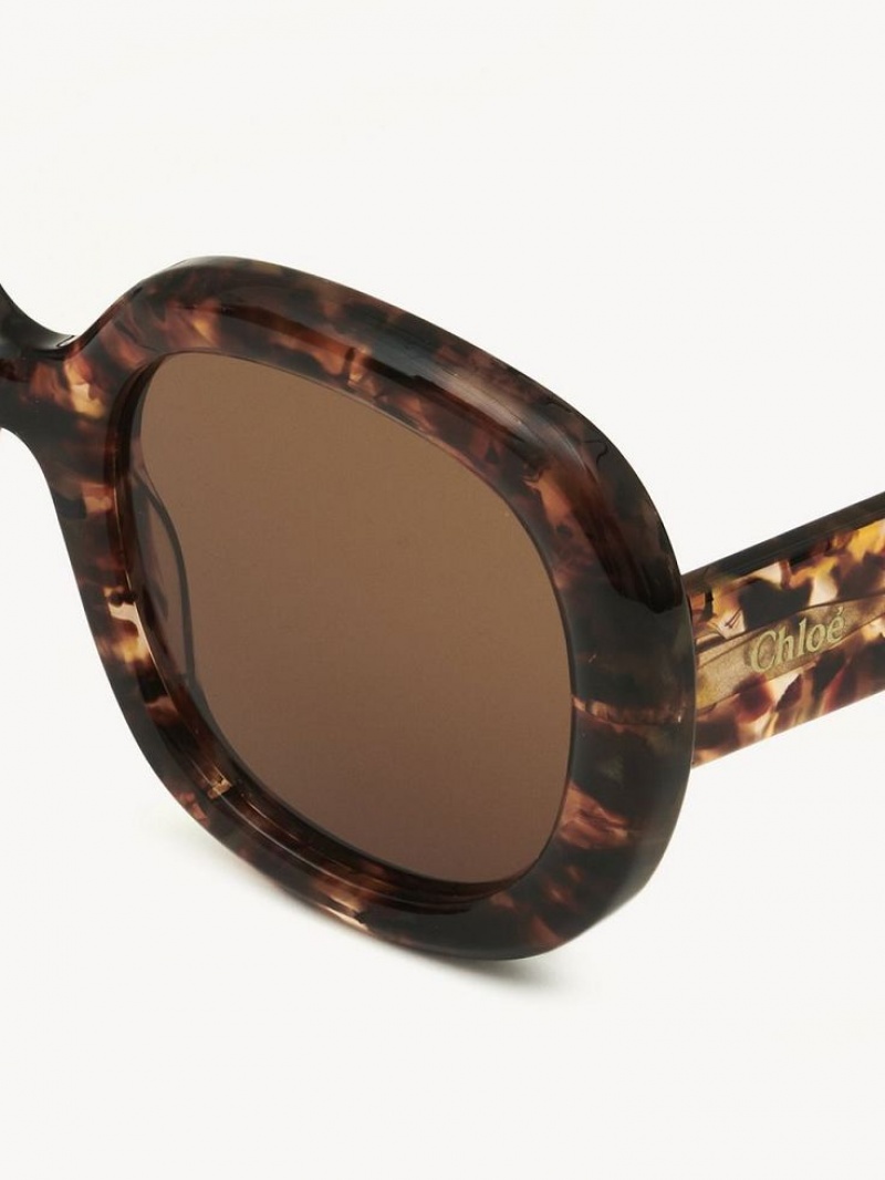 Chloe Gayia Sonnenbrille Marble Havana | CHE-SR14578