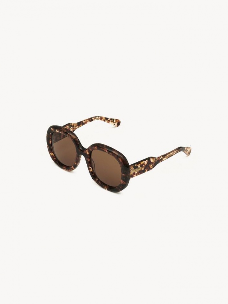 Chloe Gayia Sonnenbrille Marble Havana | CHE-SR14578