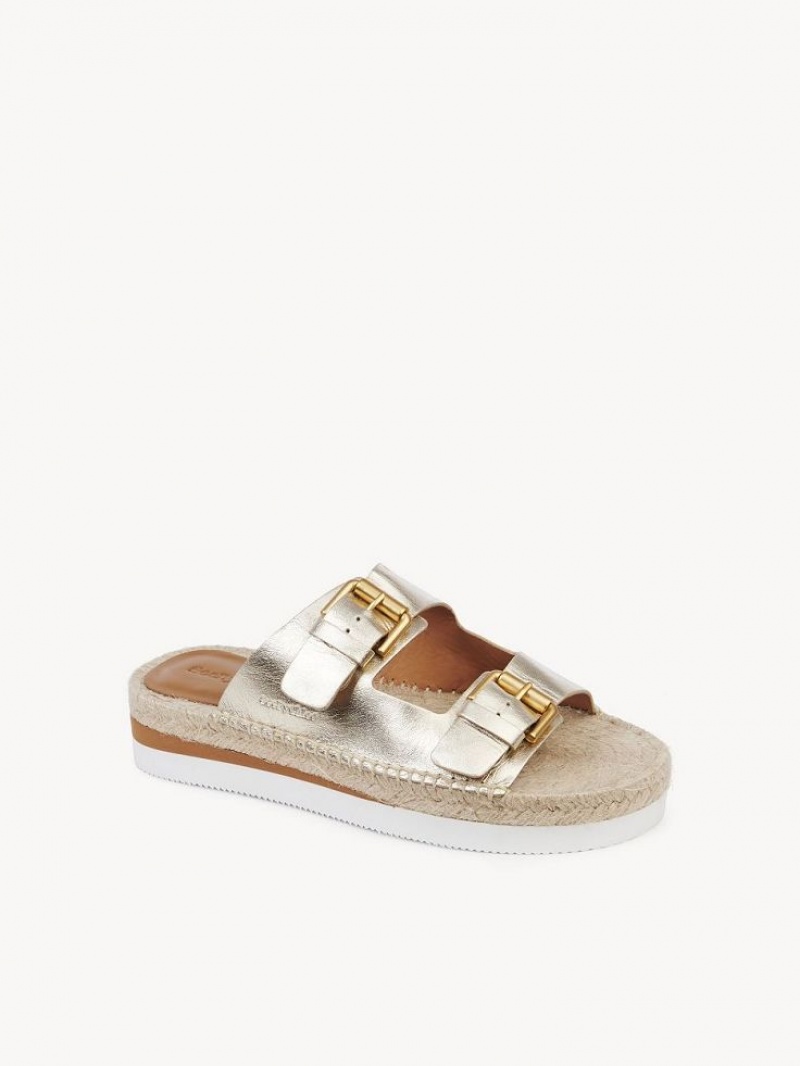 Chloe Glyn Plattform Espadrilles Sandalen Silber | CHE-SR14802