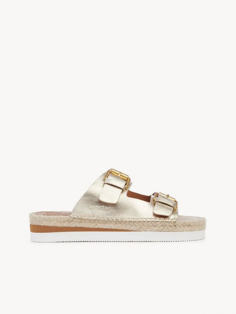 Chloe Glyn Plattform Espadrilles Sandalen Silber | CHE-SR14802