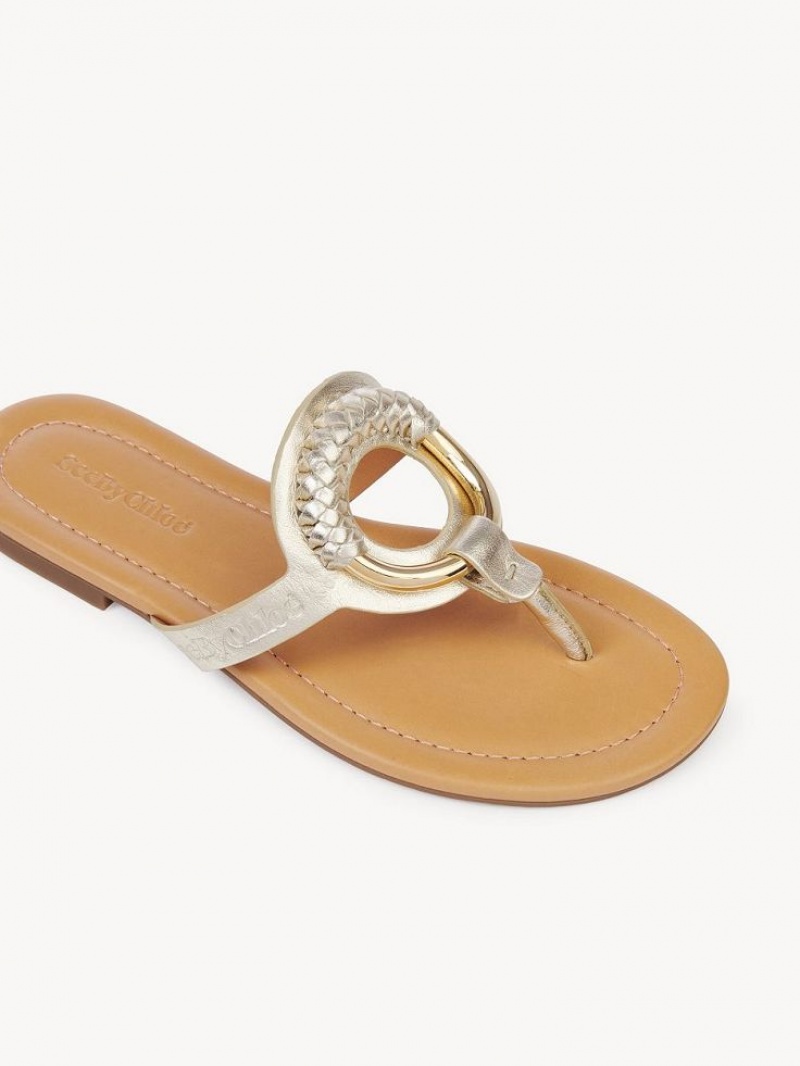 Chloe Hana Flip-flop Flache Schuhe Silber | CHE-SR14829