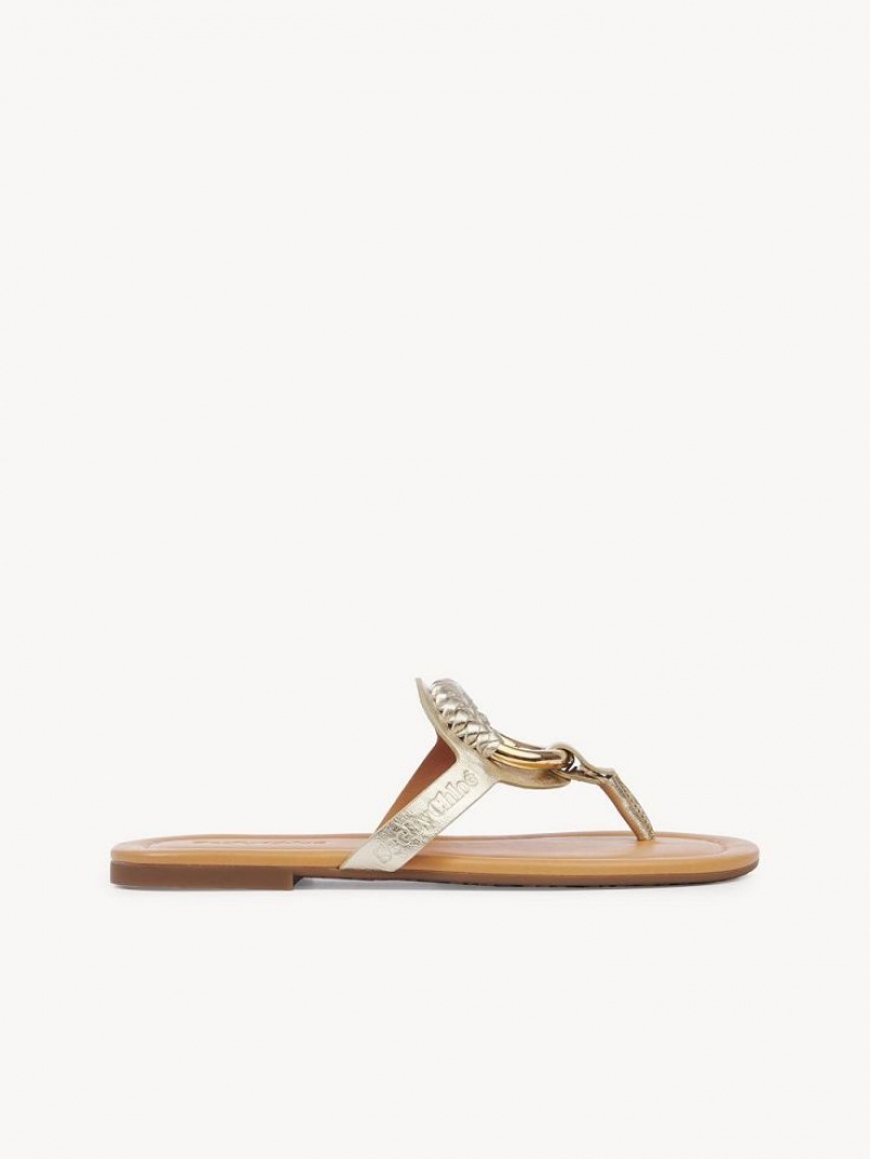 Chloe Hana Flip-flop Flache Schuhe Silber | CHE-SR14829