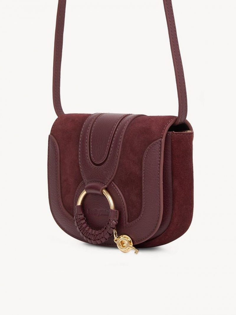 Chloe Hana Mini Taschen Braun | CHE-SR14725