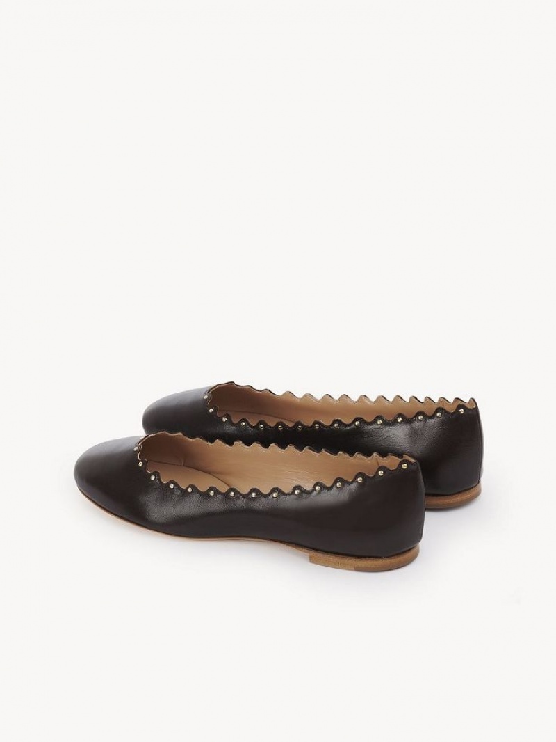 Chloe Lauren Ballet Flat Schokolade | CHE-SR14253