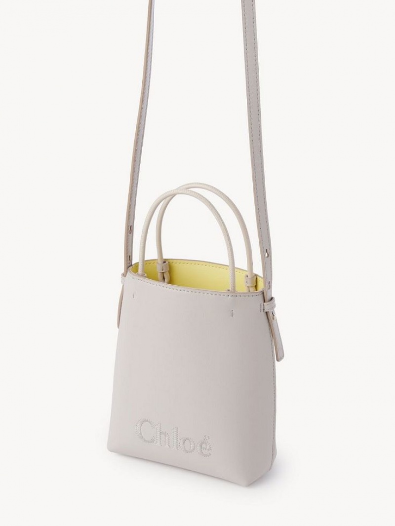 Chloe Sense Micro Crossbody Taschen Grau | CHE-SR13581