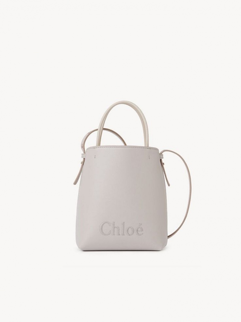 Chloe Sense Micro Crossbody Taschen Grau | CHE-SR13581