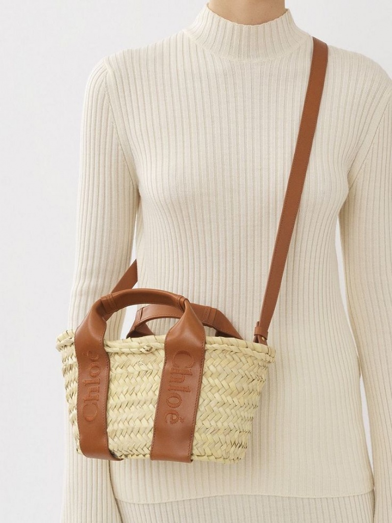 Chloe Sense Small Basket Crossbody Taschen Braun | CHE-SR13518