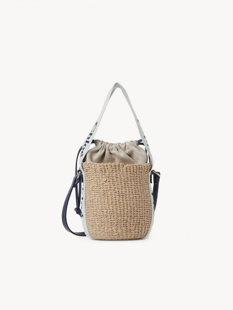 Chloe Small Woody Basket Crossbody Taschen Grün Blau | CHE-SR13617