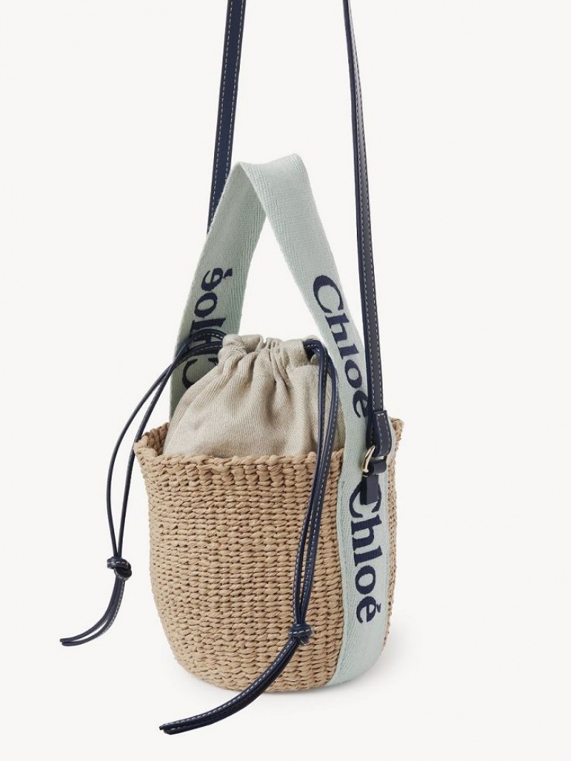 Chloe Small Woody Baskets Grün Blau | CHE-SR13643