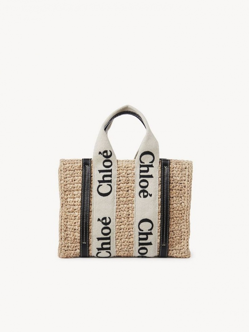 Chloe Small Woody Crossbody Taschen Braun | CHE-SR13625