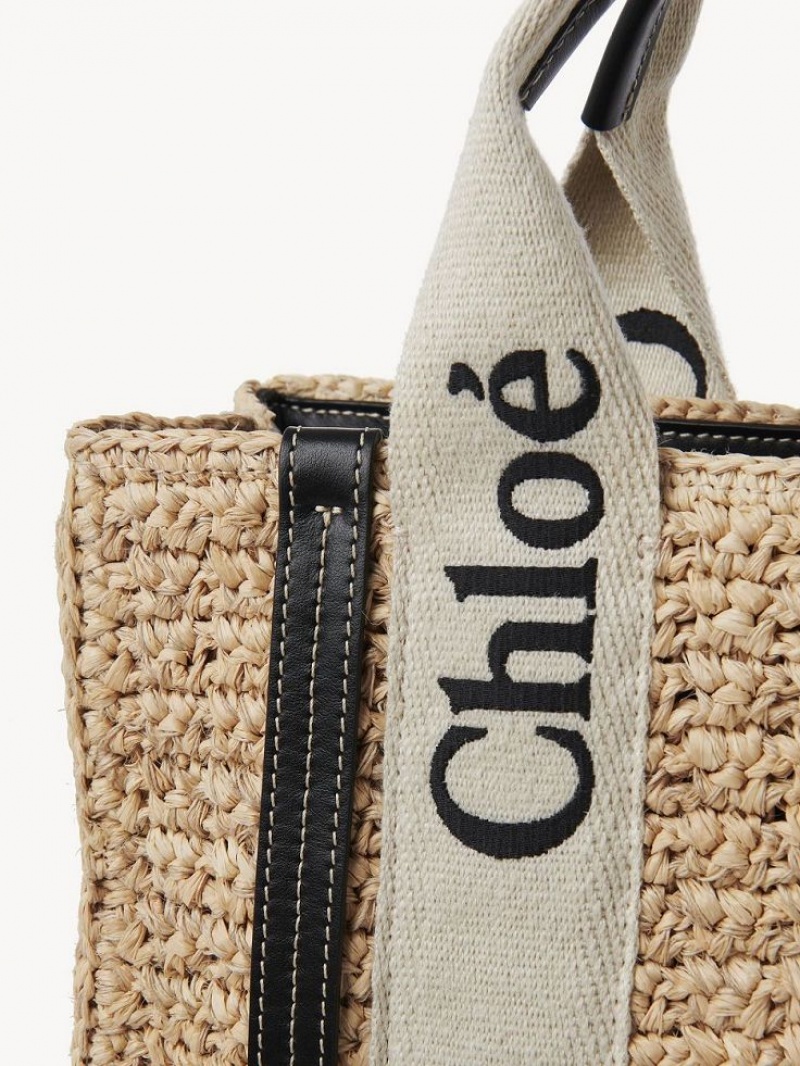 Chloe Small Woody Crossbody Taschen Braun | CHE-SR13625