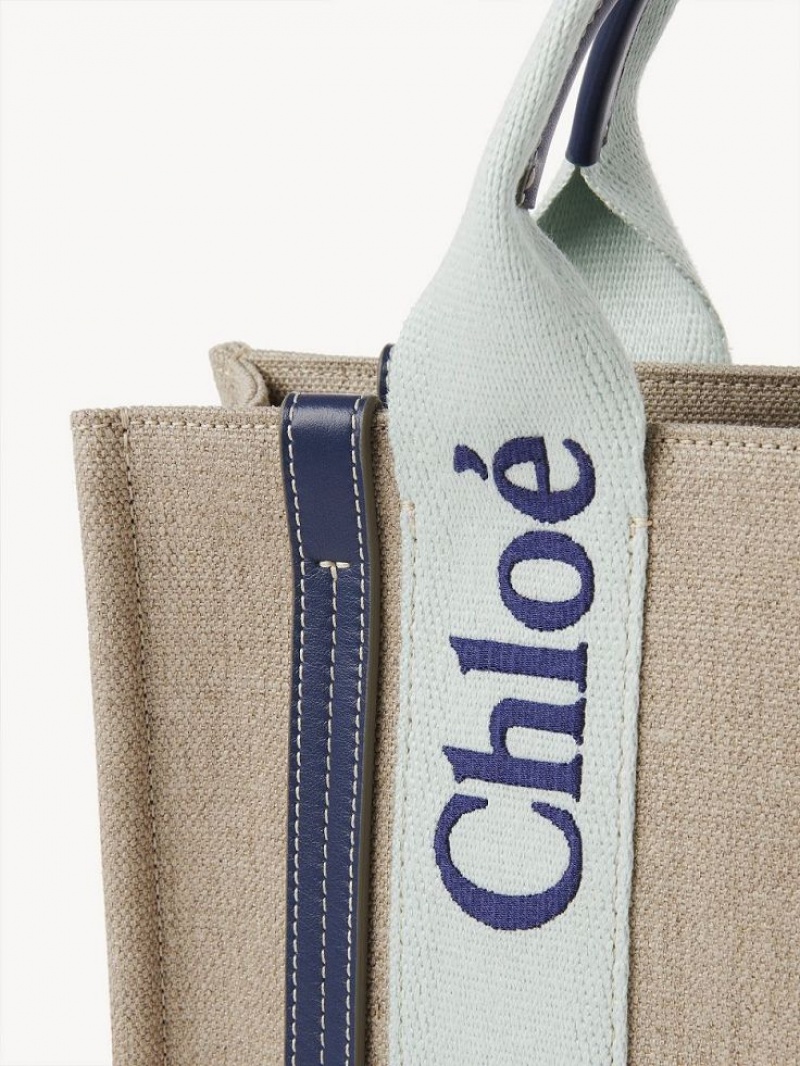 Chloe Small Woody Crossbody Taschen Grün Blau | CHE-SR13568