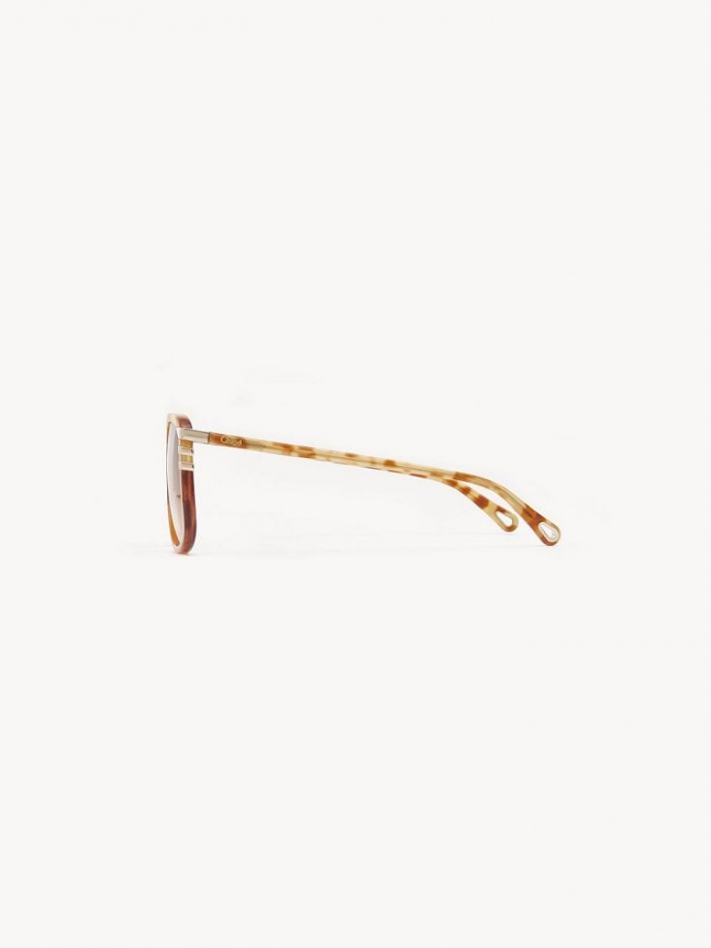 Chloe West Small Sonnenbrille Havana Patchwork | CHE-SR14521