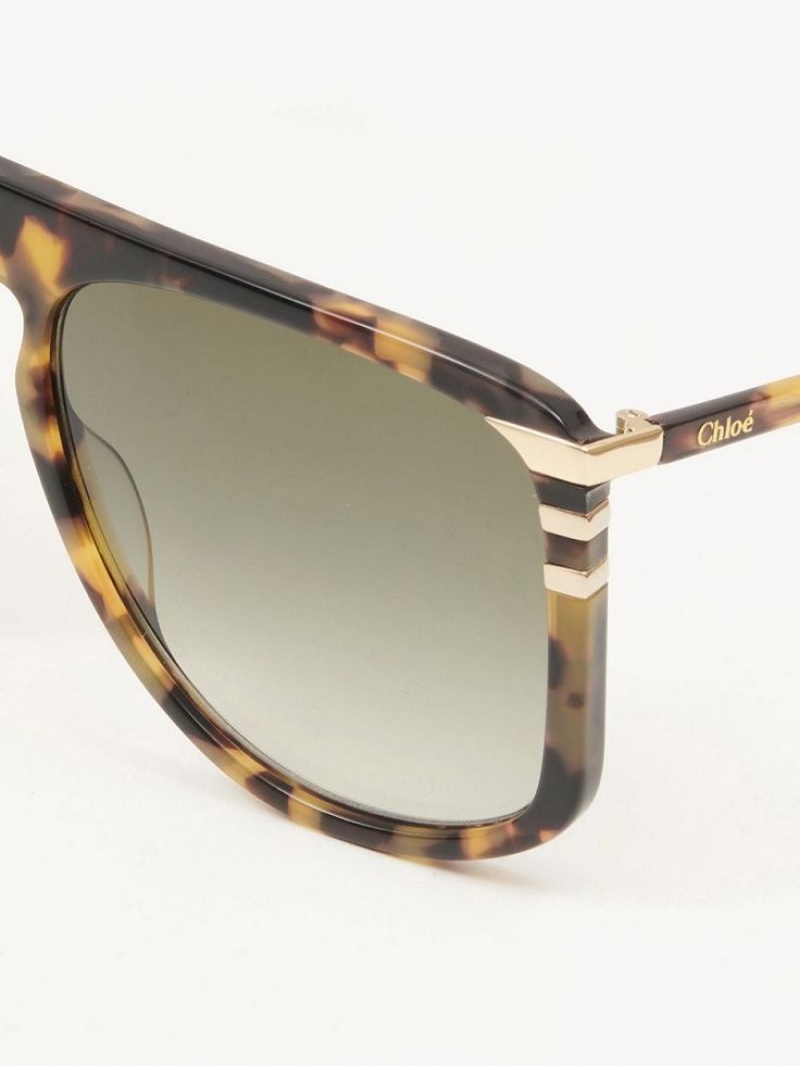 Chloe West Sonnenbrille Havana | CHE-SR14565