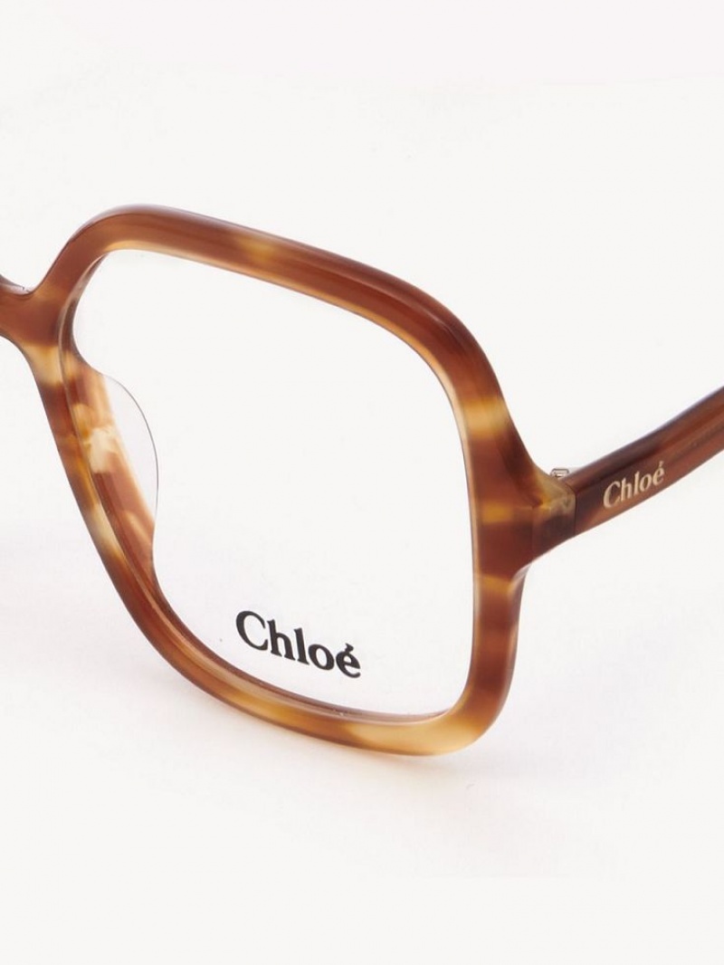 Chloe Zelie Brille Hell | CHE-SR14585